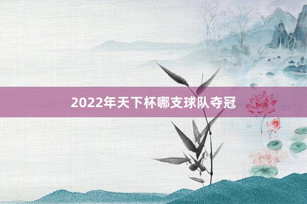 2022年天下杯哪支球队夺冠